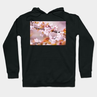 Cherry Blossom Hoodie